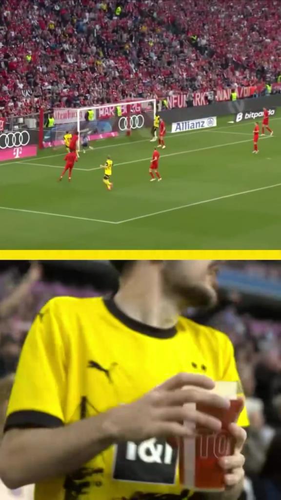 勇者無(wú)懼！這是真多特球迷！在拜仁球迷區(qū)一個(gè)人肆意慶祝！